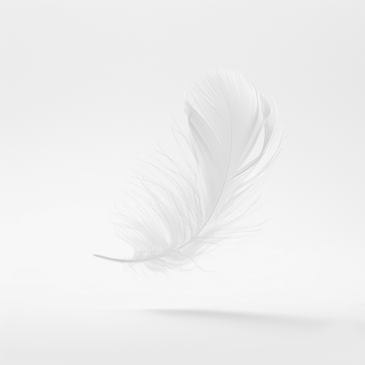 A feather, from the More Air ident set